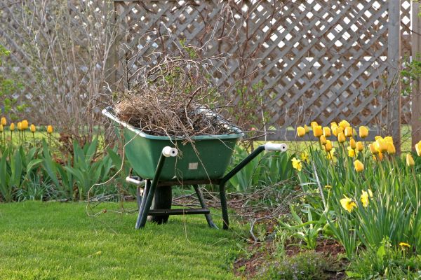 Flower Bed Cleanup Service in Visalia
