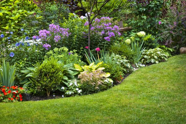 Flower Bed Service in Visalia