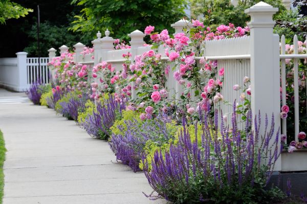 Garden Handyman Service in Visalia