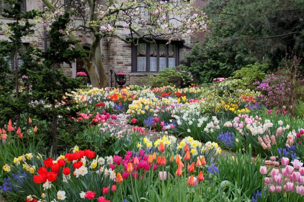 Garden Maintenance Service in Visalia