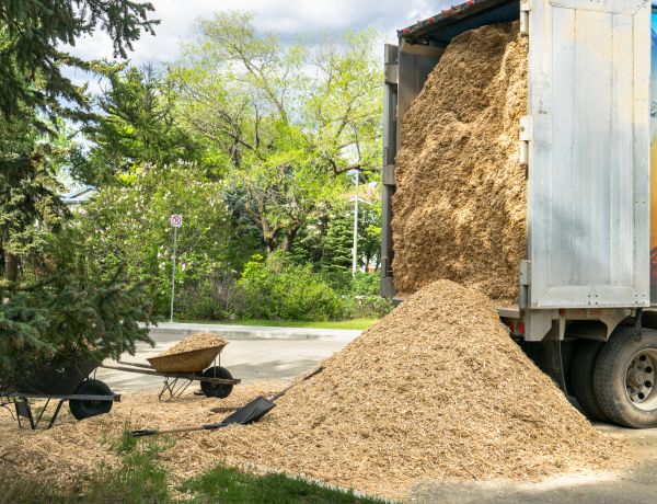 Wood Chips Delivery in Visalia