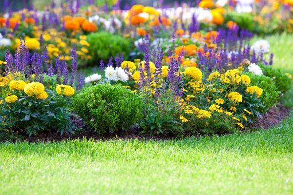 Garden Installation in Visalia