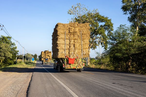 Pine Straw Delivery in Visalia