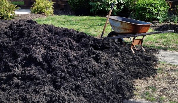 Black Mulch Delivery in Visalia