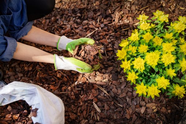 Garden Mulching in Visalia
