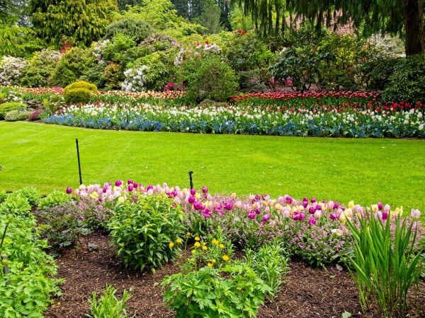 Residential Landscape Design in Visalia