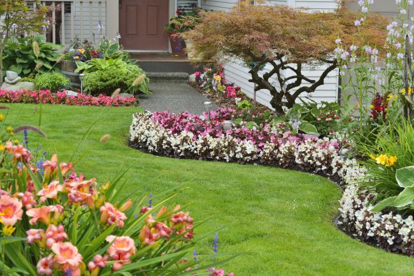 Perennial Landscaping in Visalia
