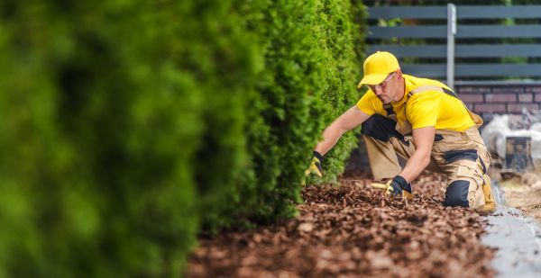 Cypress Mulch Installation in Visalia