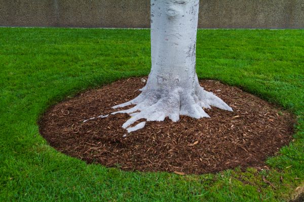 Brown Mulch Installation in Visalia