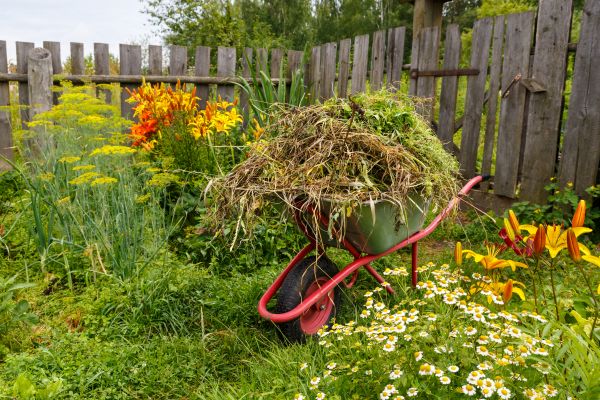 Garden Cleanup Service in Visalia