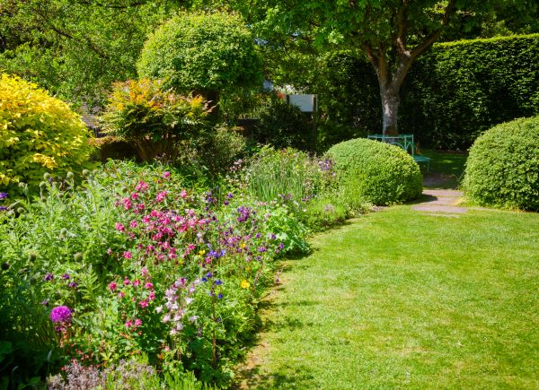 Yard Landscaping Service in Visalia