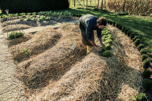 Straw Mulching Service in Visalia