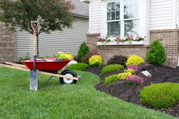 Tree And Shrub Planting in Visalia