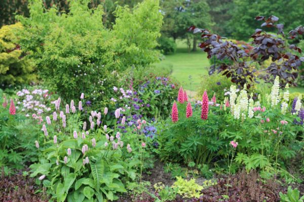 Flower Bed Planting in Visalia