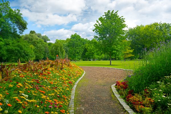 Park Landscaping in Visalia