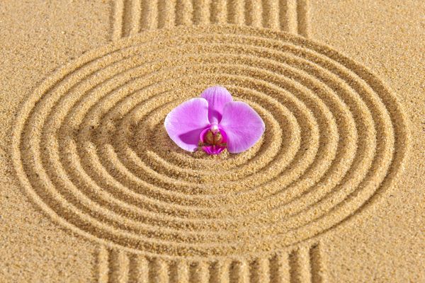Sand Garden Landscaping in Visalia