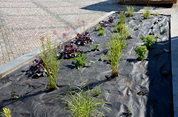 Landscape Fabric Installation in Visalia