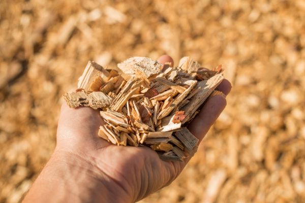 Wood Chips Spreading in Visalia