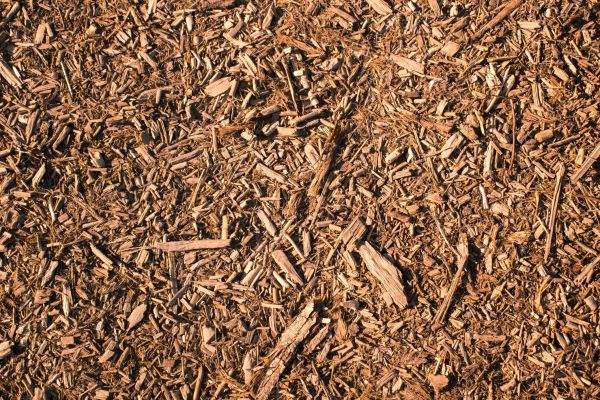Wood Chips Removal in Visalia
