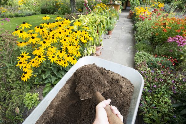Topsoil Replacement in Visalia