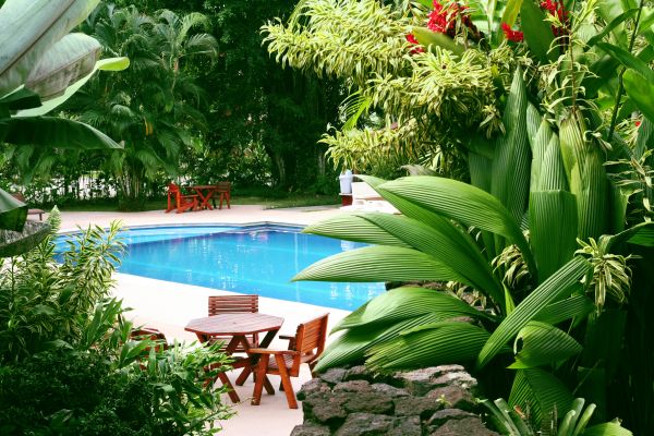 Pool Area Landscaping in Visalia