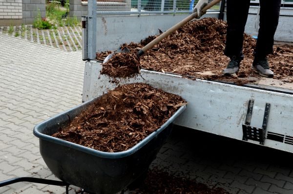 Playground Mulch Delivery in Visalia