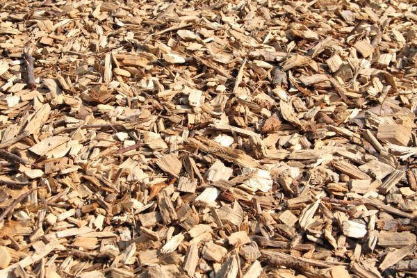 Wood Mulch Delivery in Visalia