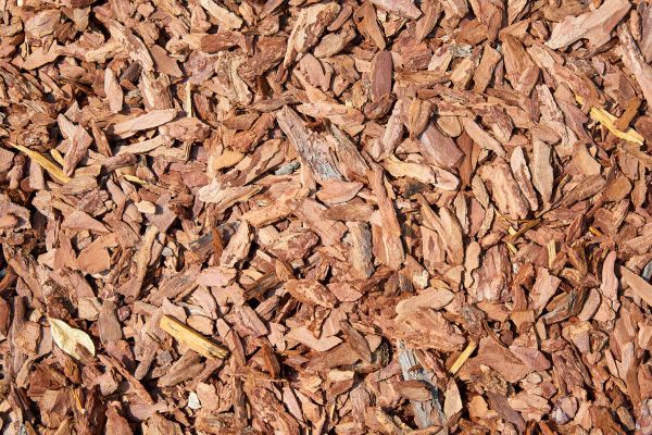 Pine Mulch Spreading in Visalia