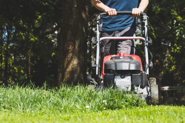 Garden Trimming Service in Visalia