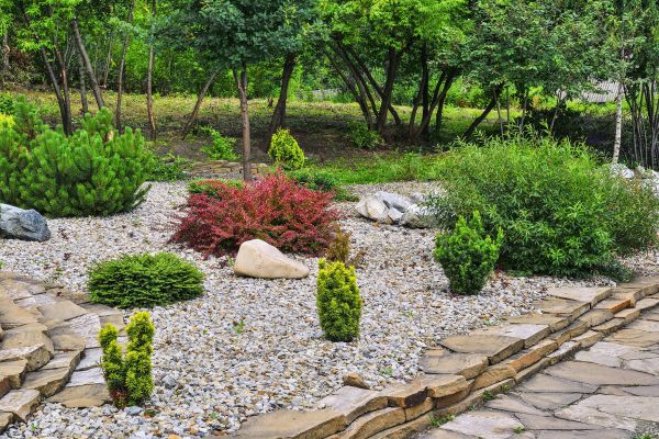 Hardscape Landscaping in Visalia