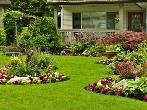 Flower Garden Planting in Visalia