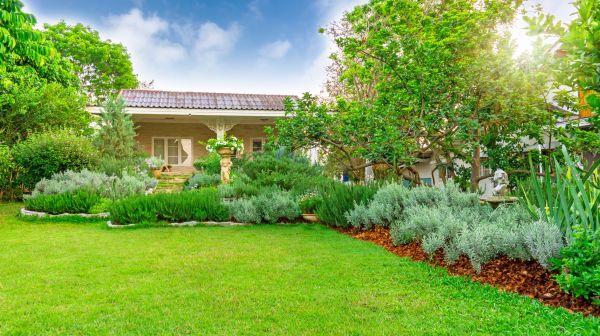 Greenery Planting in Visalia