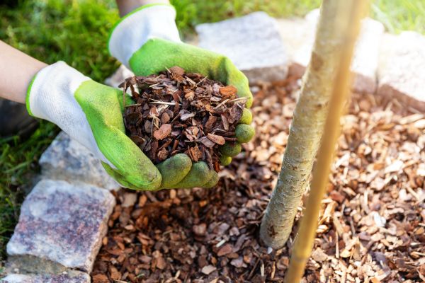 Tree Bark Delivery in Visalia