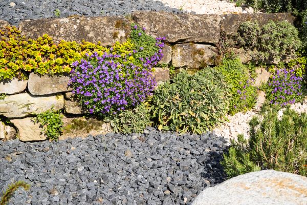 Landscaping Rocks Installation in Visalia