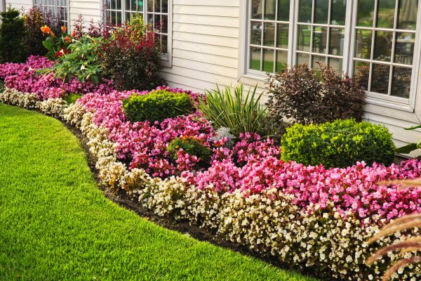 Garden Landscape Design in Visalia
