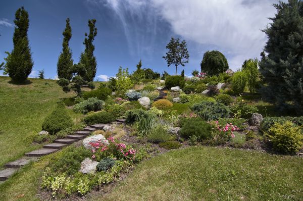 Steep Terrain Landscaping in Visalia