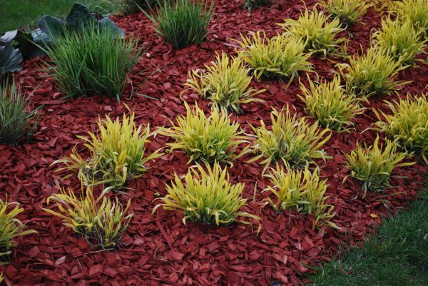 Red Mulch Installation in Visalia