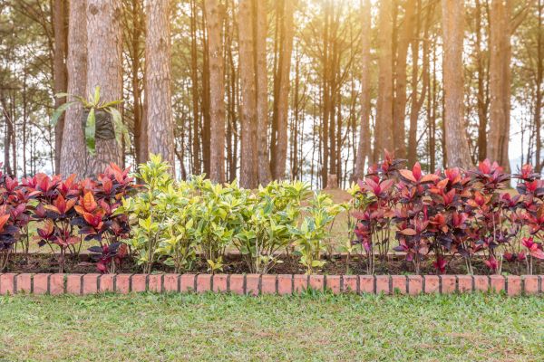 Small Garden Landscaping in Visalia