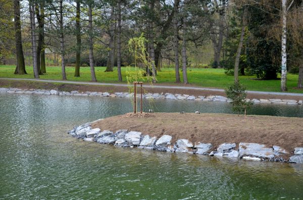 Pond Landscaping Service in Visalia