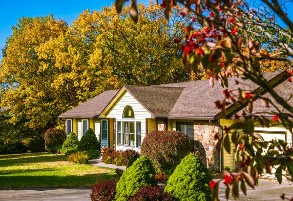 Ranch Landscaping in Visalia