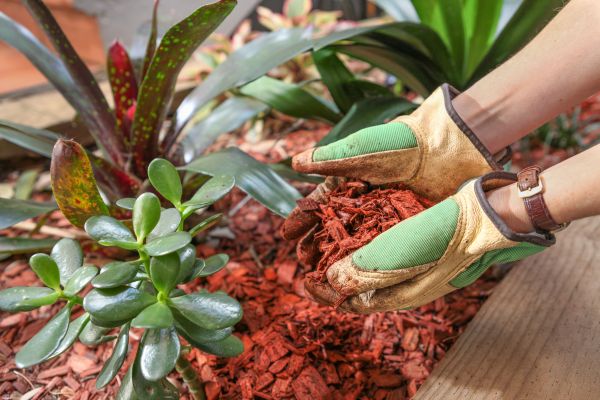 Cedar Mulch Installation in Visalia