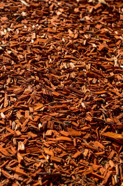 Cedar Mulch Spreading in Visalia